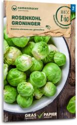 Samen Maier Bio "Groninger" kelbimbó - 1 csomag