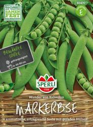 Sperli Kelvedon csodája" borsó - 1 csomag