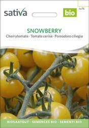 Sativa Snowberry" Bio cseresznyeparadicsom - 1 csomag