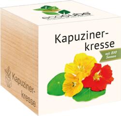 Feel Green ecocube "Gyógynövények" - Böjtfű