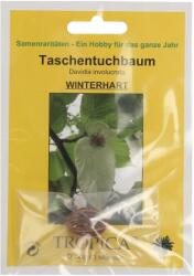 TROPICA Zsebkendőfa - 1 csomag