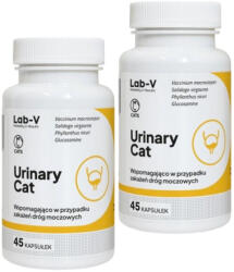  LAB-V Lab-v Urinary Cat - Húgyúti támogatás macskáknak 2x45 kapszula