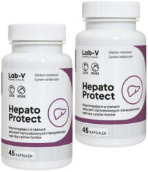 Lab-v LAB-V Hepato Protect - Májfunkció támogatás kutyáknak és macskáknak 2x45 kapszula