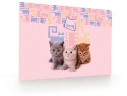 KARTON P+P PREMIUM LIGHT PETS íróasztal alátét lányoknak, cicás - pink