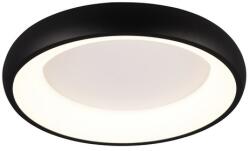 TRIO Cardona fekete LED mennyezeti lámpa (TRI-649614532) LED 1 izzós IP20 (649614532)