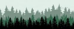 Gembird Forest Gaming egérpad XL-es (MP-PL-FOREST-XL-01)