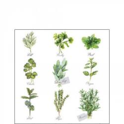 Ambiente Herb selection papírszalvéta 25x25cm, 20db-os