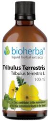 Bioherba Tincture Tribulus Terrestris [100 мл]
