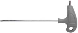 PROLINE CR-VA S2 T10 (48551) Cheie torx