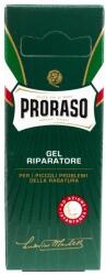 Proraso Eucalyptus Repairing Gel 10 ml
