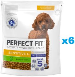 Perfect Fit Sensitive 1+ pulykában gazdag száraz teljes értékű eledel felnőtt kistestű kutyafajták számára 6x825 g