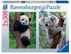 Ravensburger 12000241 - Panda és koala - 2 x 500 db-os puzzle (12000241)