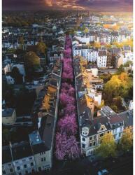 Ravensburger 12000730 - Virágzó Bonn - 1500 db-os puzzle (12000730)