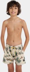 O'Neill Mix & Match Cali Print 13 Swim Shorts D