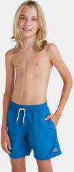 O'Neill Vert 14 Swim Shorts D