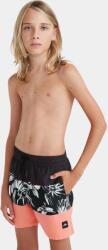O'Neill Mix & Match Cali Block 13 Swim Shorts D