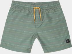O'Neill Mix & Match Cali First 13 Swim Shorts D