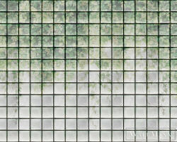 AS Creation Walls by Patel 3 DD122076 zöld GREENHOUSE 2 digitális panel (DD122076)