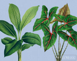 AS Creation Walls by Patel 3 DD121948 kék leaf garden 1 digitális panel (DD121948)