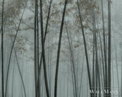 AS Creation Walls by Patel 3 DD122100 barna IN THE BAMBOO1 digitális panel (DD122100)