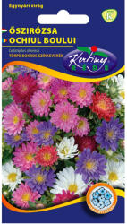 Rédei Kertimag vetőmag - Törpe bokros őszirózsa színkeverék 1g