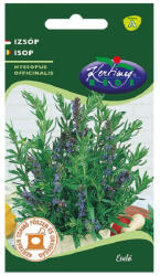 Rédei Kertimag vetőmag - Izsóp évelő 1g