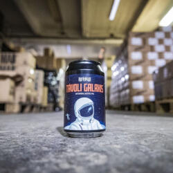  Mad Scientist Rothbeer - Távoli Galaxis 0, 33l 6, 1%