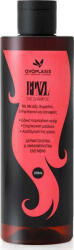 Anaplasis RPNZL Șampon Împotriva Căderii Părului pentru Toate Tipurile de Păr 250ml (ap-094769)