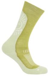 Icebreaker Merino Hike+ Light Crew IB Solar Șosete OLIVE/ASHEN/SNOW S