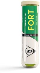 Dunlop Fort All Court 4B