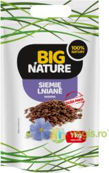 BIG NATURE Seminte de In Maro 1kg