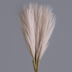 Valex Decor Pampafű köteg, 10 szál, 48cm magas - Púder barna (AF099-02)