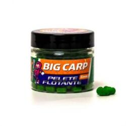 CPK PELETE FLOTANTE FEEDER BIG CARP - SCOICA (VERDE) 6mm 20g