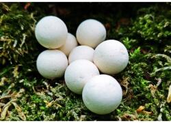 Baitmaker Pop-up Banoffee 14mm