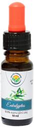 Salvia Paradise Ulei esențial - Eucalipt - 10 ml