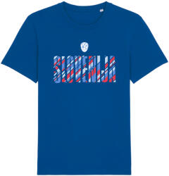 Nike NZSx11TS SLOVENIJA shirt men blue Rövid ujjú póló nzsnzs800-463 Méret M nzsnzs800-463