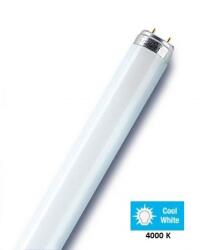 Orbitec NBB T8 G13 10W 4000K hideg fehér fénycső - 108101000 (108101000)