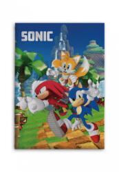 Sonic a sündisznó Speedy Dreams polár takaró 100x140cm (BRM013995) - gyerekagynemu