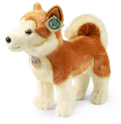 Rappa Plüss kutya Akita Inu 30 cm