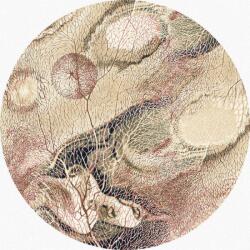  Covor lana rotund Bellona Dark Beige Selectează mărime: 160 X 160 Covor