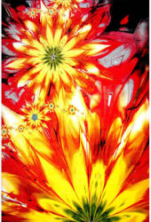  Covor Kolibri 11012-150 Multicolor Flori Selectează mărime: 200 X 300 Covor