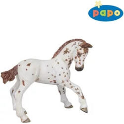 Papo Appaloosa csikó 51510 - vegyesbolt
