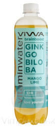  Viwa Vitaminvíz Brain Boost 0, 6L DRS