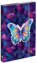 KARTON P+P Butterfly Purple pillangós füzetbox - A4 - OXY BAG (IMO-KPP-3-75625)
