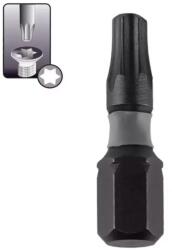 Dedra Ütvecsavarozó végek Torx T40x25mm, 10db 18A53T400-10 (18A53T400-10)