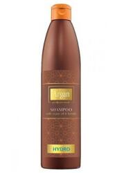 Argan Professional Sampon Argan Professional Hydro, Par uscat, 500 ml