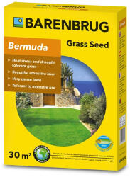 Barenbrug Bermuda csillagpázsit 0, 5 kg (BCS-001)