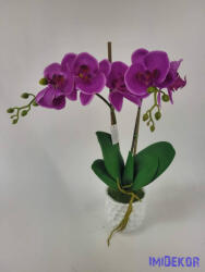  Cserepes gumi orchidea 2 ágú - Lila