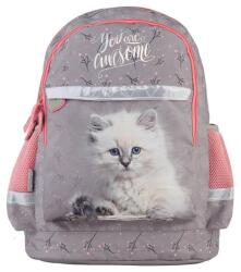 PASO Cicás ergonomikus iskolatáska, hátizsák - 2 rekeszes - You are awsome (PP24AW-116) (PP24AW-116)