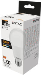 Entac LED izzó Globe E27 10W NW 4000K (LLG27-10W-NW)